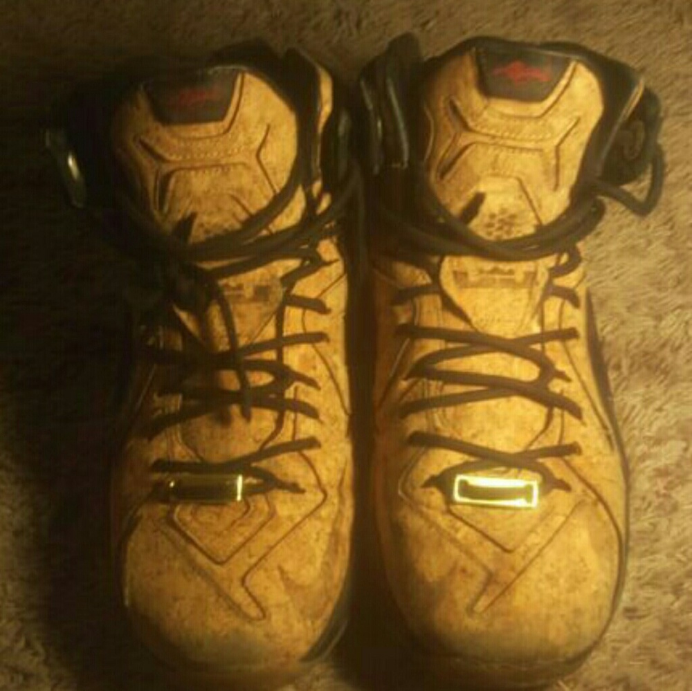 Lebron cork 12s