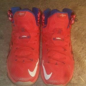 Lebron 12s