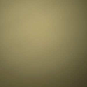 Meet your Posher, Mariah