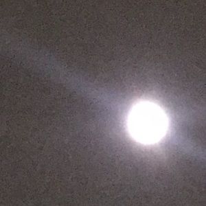 Meet your Posher, Ismael