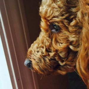 Meet your Posher, Renata