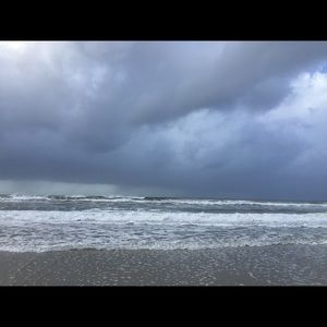 Meet your Posher, Jane