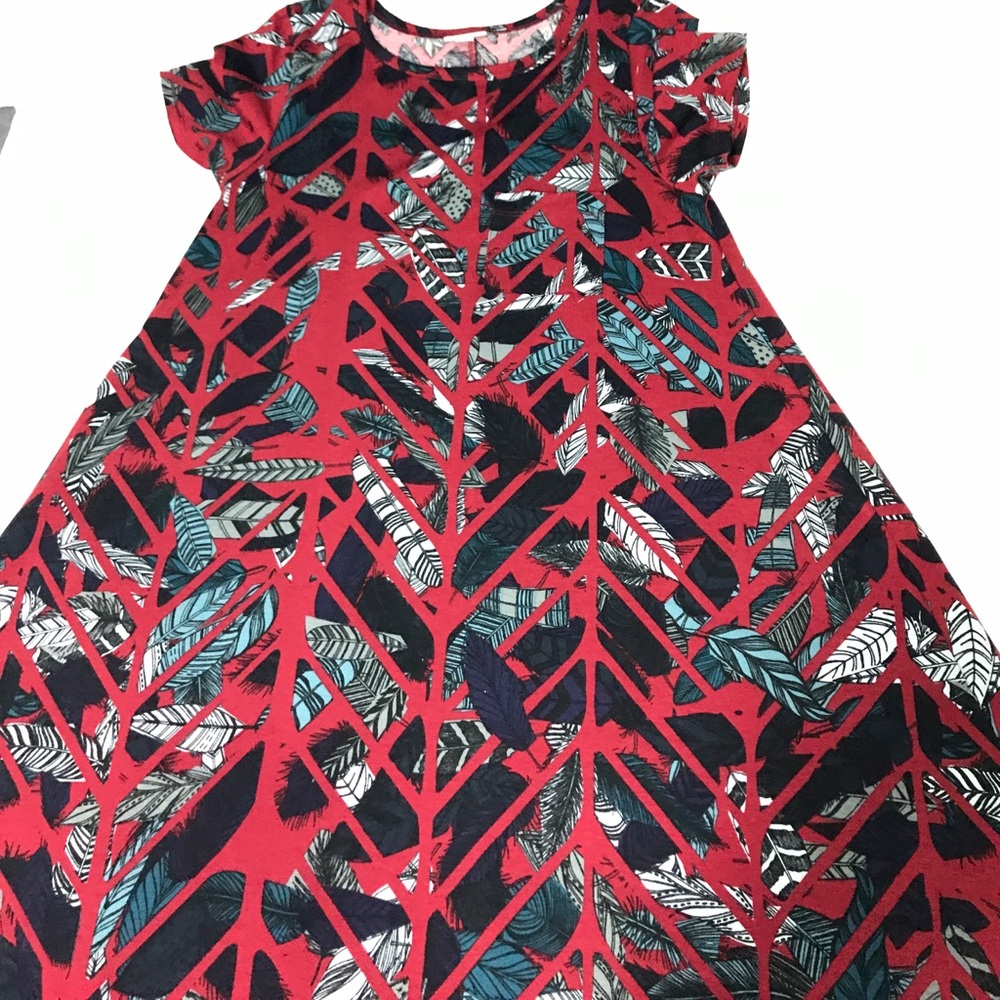 LuLaRoe Carly with FEATHERS!
