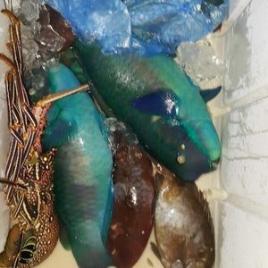 Meet your Posher, June