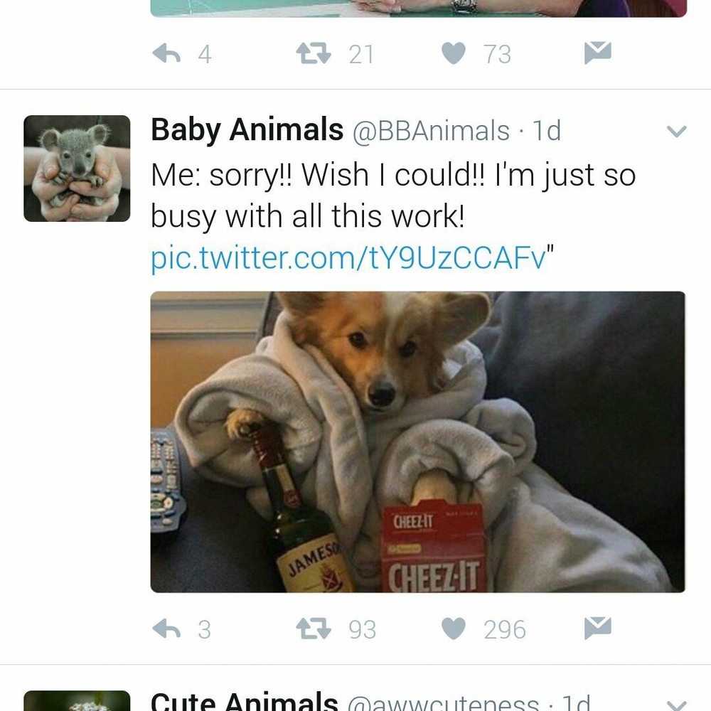 Meet your Posher, Hunter