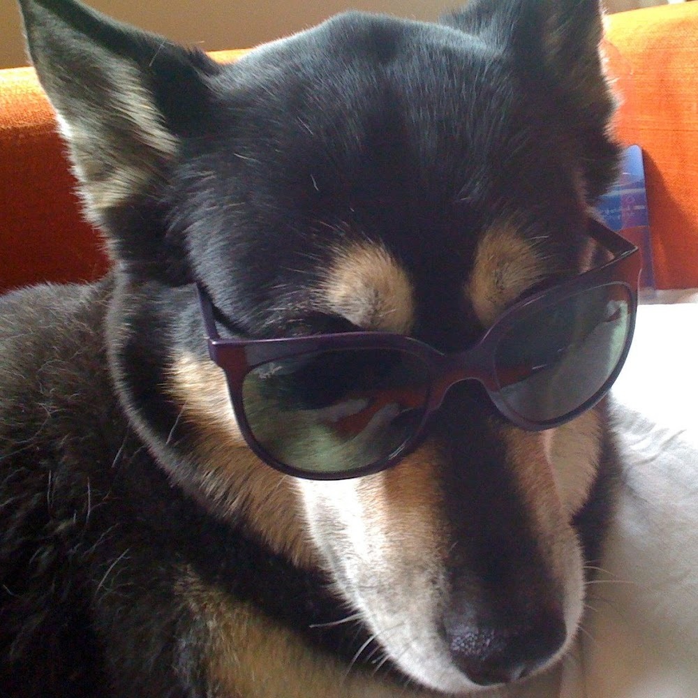 Meet your Posher, Leah s.