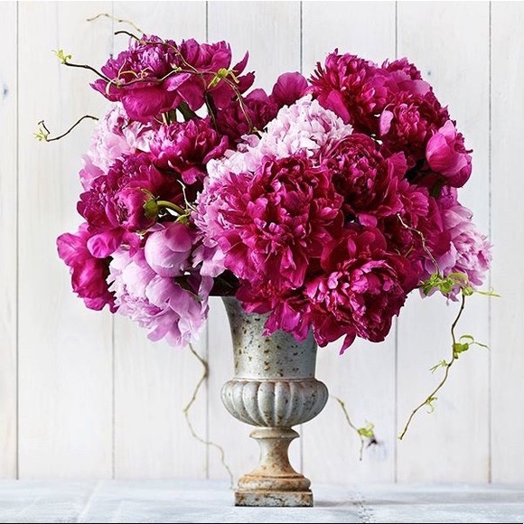 Just for you!! Thanks for Following me 😍🤗🌺🌸🌹 - Picture 1 of 1