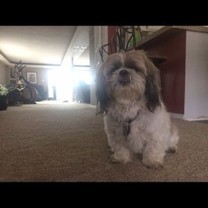 Meet your Posher, Jolie