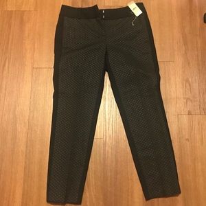 NWT Ann Taylor Loft Petite Dotted Pants
