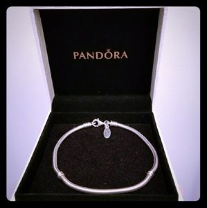 Pandora Charm Bracelet