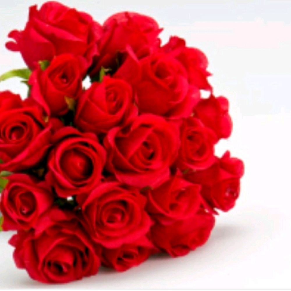 Meet your Posher, Binga