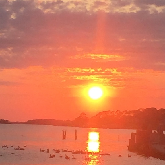 Meet your Posher, Luis - Picture 1 of 1