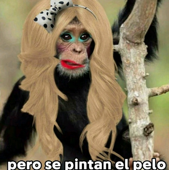 Meet your Posher, Larissa - Picture 1 of 1