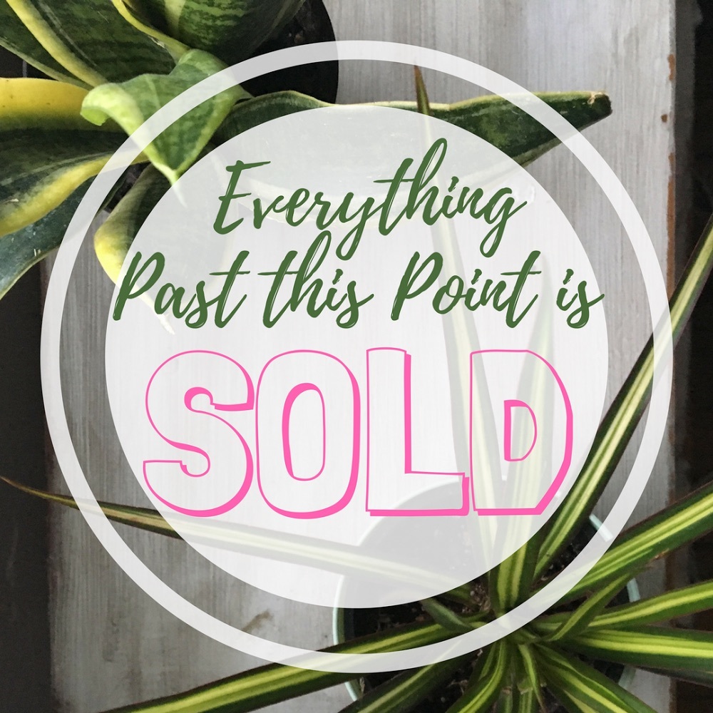 Everything Past this Point is Sold