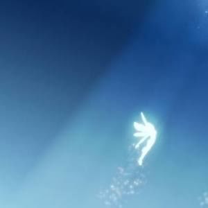 Meet your Posher, Bao