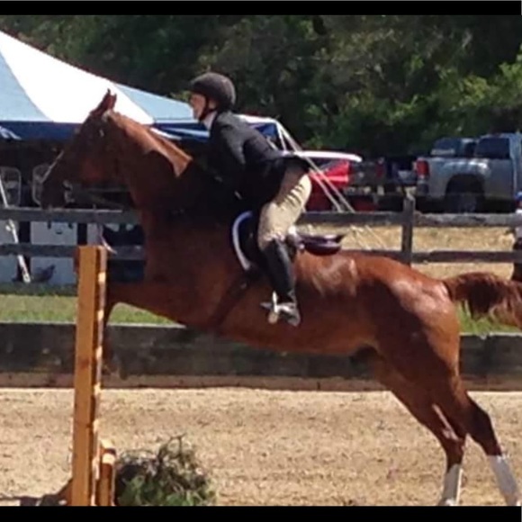 Meet your Posher, Maura - Picture 2 of 10