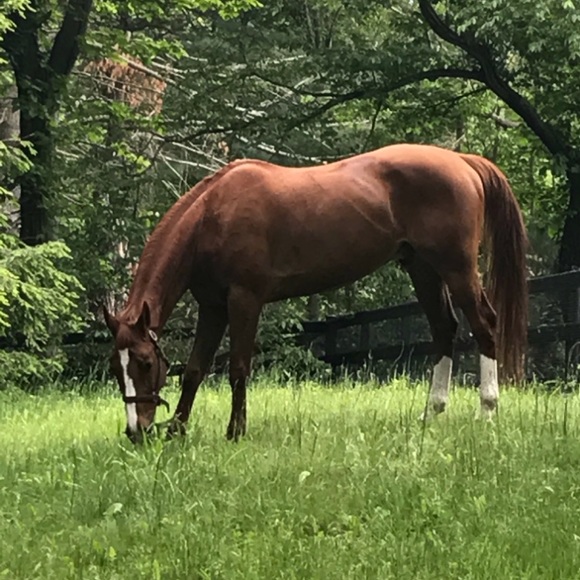 Meet your Posher, Maura - Picture 5 of 10