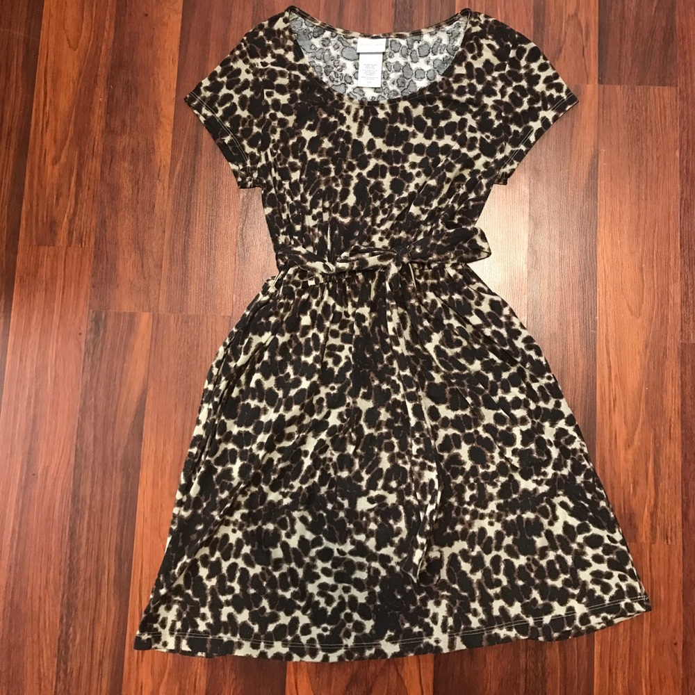 Babydoll Multi- Season Clinched Waist Dress