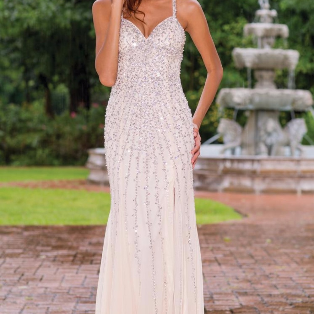 Gorgeous Sean Collection Prom Dress