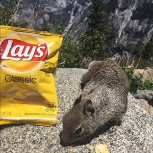 Meet your Posher, Vi