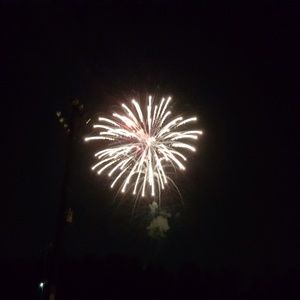 Meet your Posher, Shatila