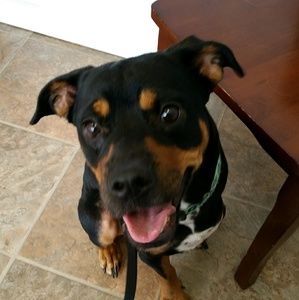 Meet your Posher, Mirta