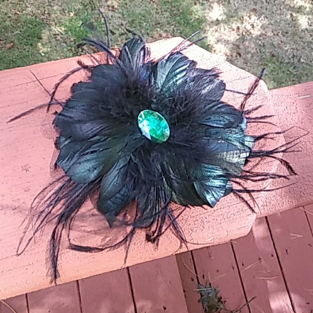 Beautiful feather headpiece/brooch