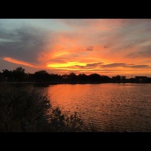 Meet your Posher, Sydney