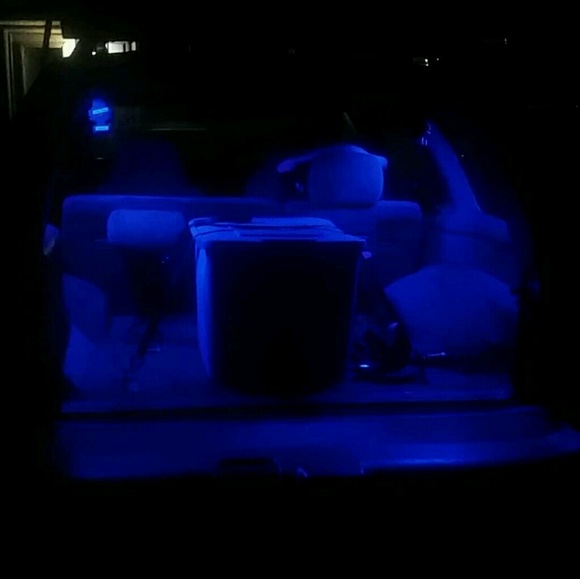 Meet your Posher, Dillon - Picture 1 of 1