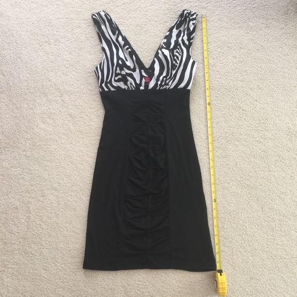 Zebra Print Dress - Picture 6 of 8