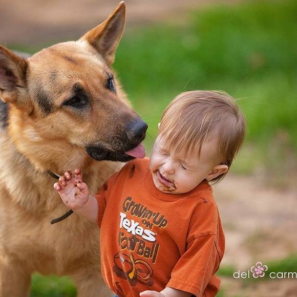 Meet your Posher, Jamie - Picture 1 of 1