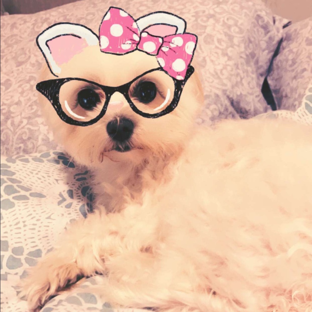 Meet your Posher, Christina