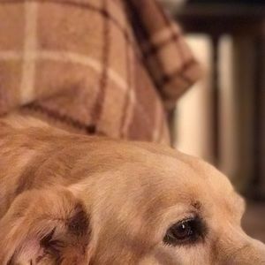 Meet your Posher, Keith