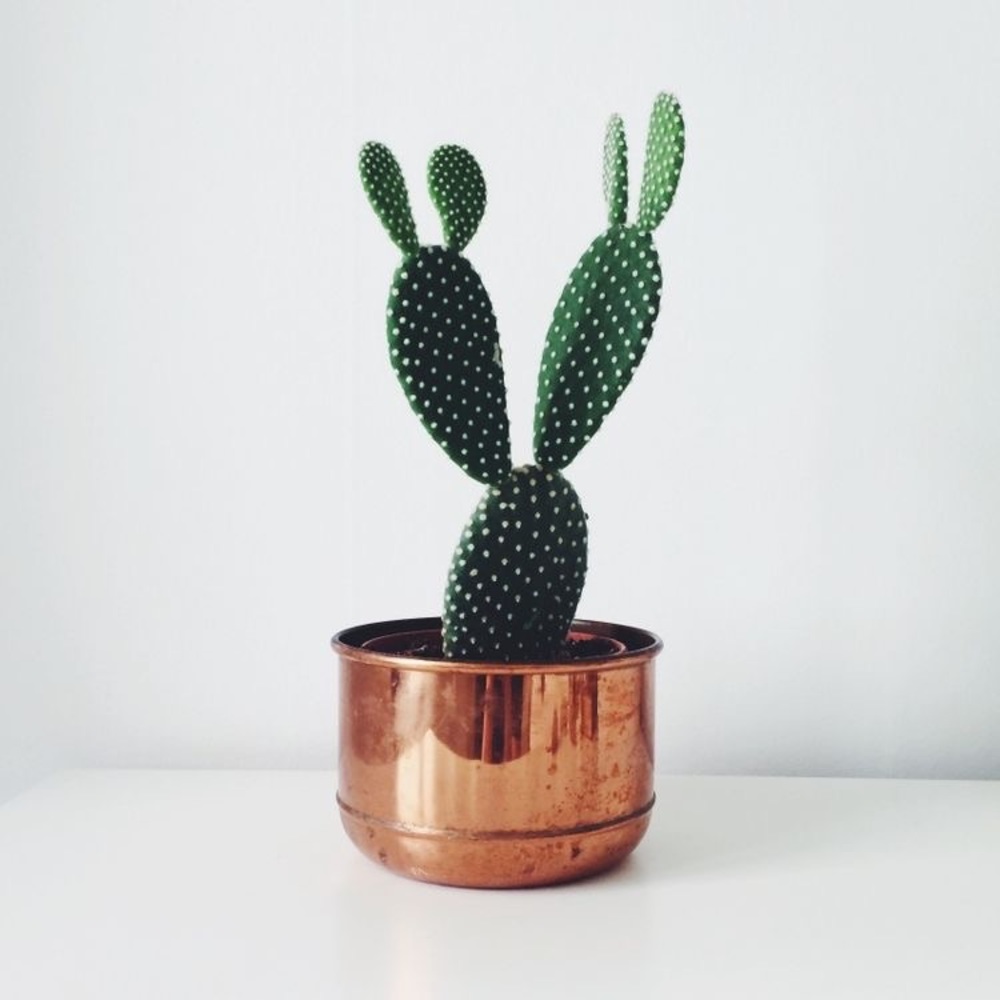 🖤ABOUT MY SHOP🖤