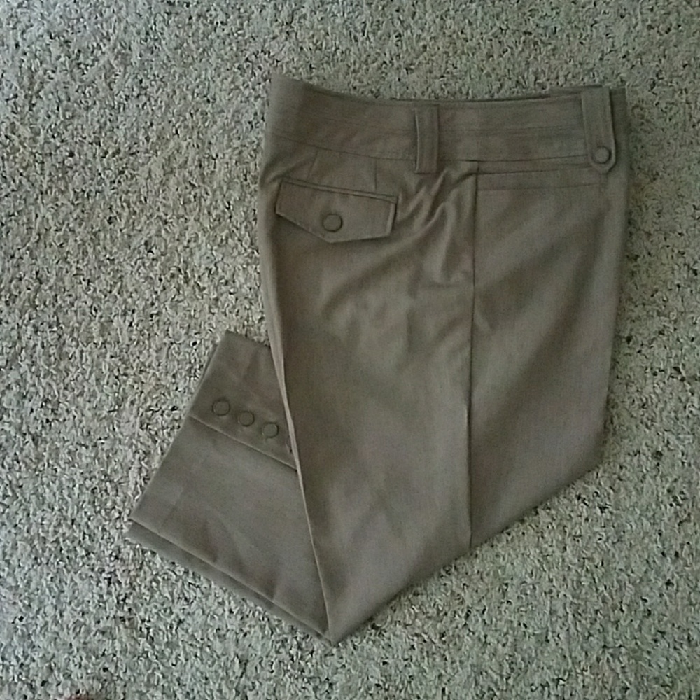 Capris dress pants