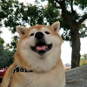 Meet your Posher, Patrick