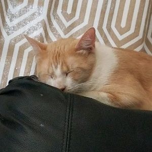 Meet your Posher, Sandra