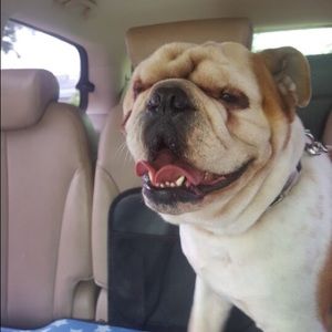 Meet your Posher, Paul mark