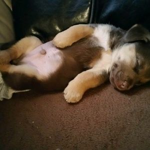 Meet your Posher, Beatriz