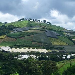 Meet your Posher, Audrey