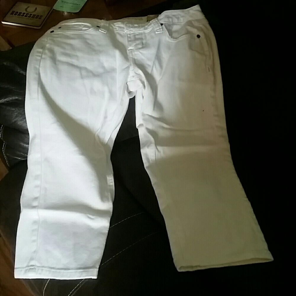 Capris - Picture 3 of 4