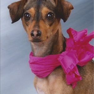 Meet your Posher, Kim