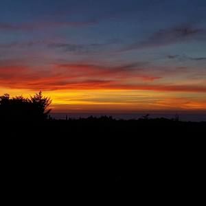 Meet your Posher, Joann