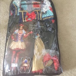 Leg Avenue Deluxe Snow Princess, everything inc.