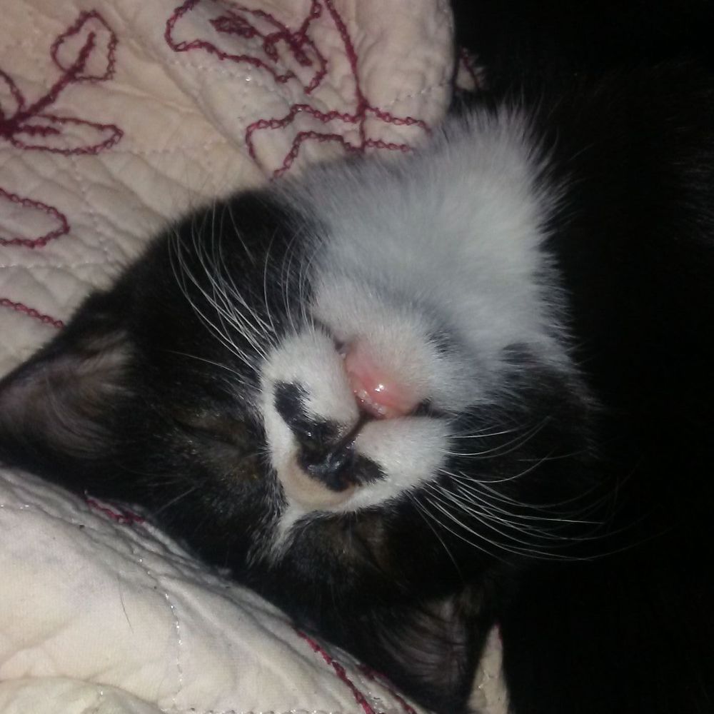 Meet your Posher, Tammy