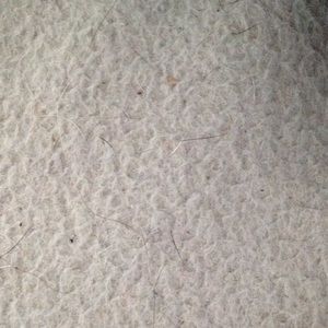 Meet your Posher, Micki