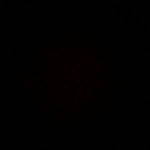 Meet your Posher, Joshua