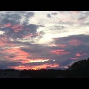 Meet your Posher, Ella