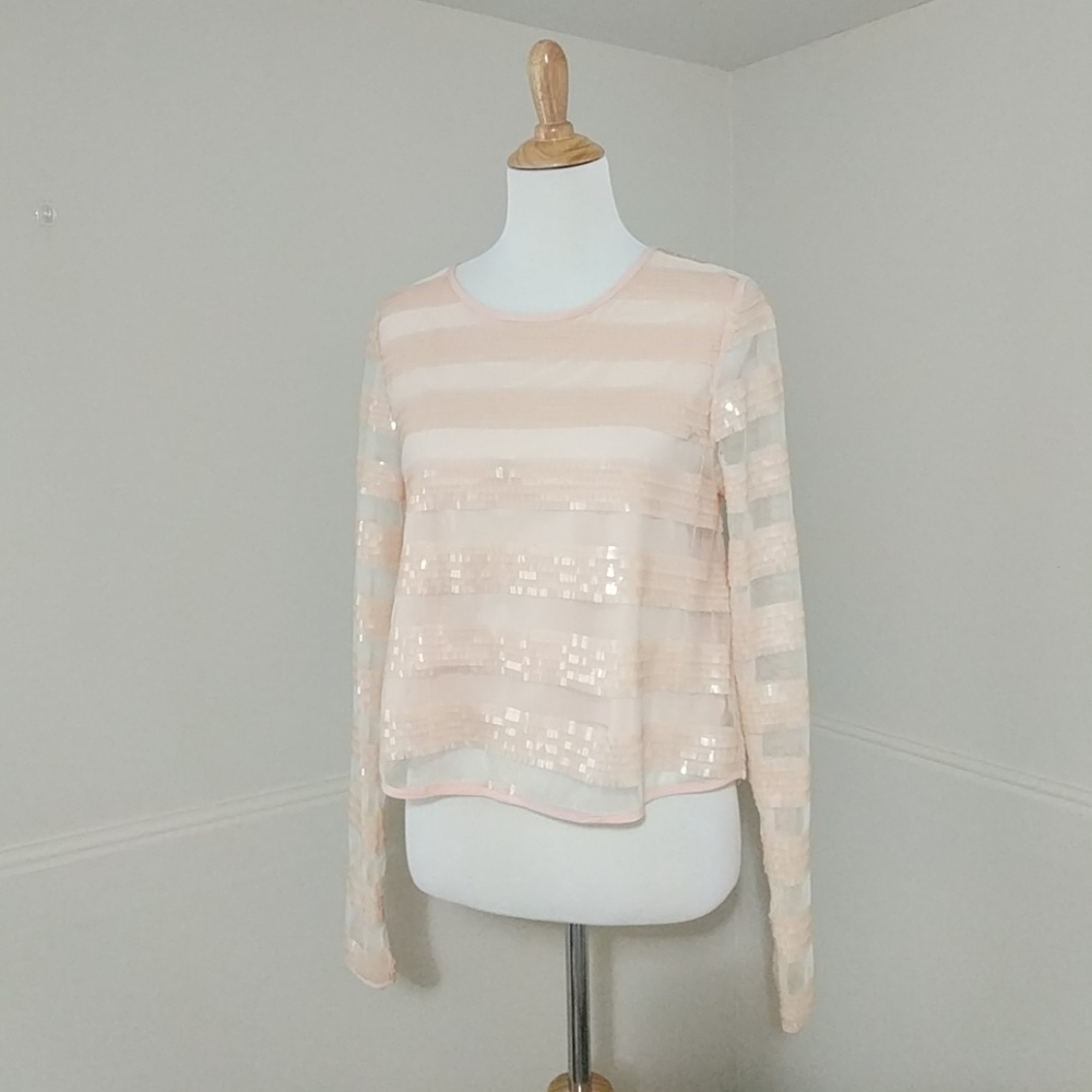 MINKPINK Blush Sequin Sheer Long Sleeve Top