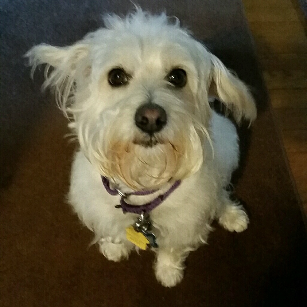 Meet your Posher, Cindy